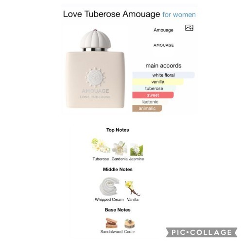 عطر ادو پرفیوم زنانه آمواج آمواژ لاو تیوب رز (توبرز) 100 میل